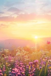 Sheila A. Krager Obituary, Wintersville, OH