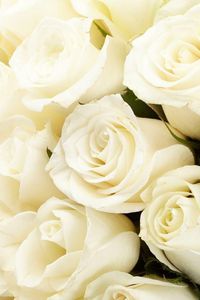 Patricia Ann Hankerson