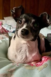 Sadie May Pirpich