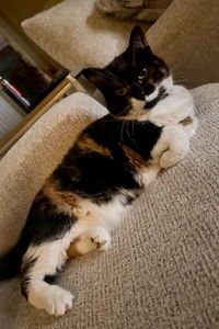 Luna  Duncan