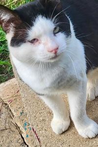 Captain Mylo Blink Slaughter-Mills