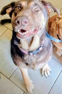 Nola  Heaven-Seantelle