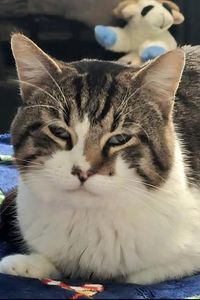 Milo Einstein Zamora