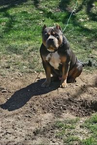 Ruger  Meeks