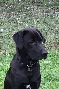 Zeus  Anhalt