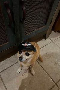 Spunky  Foster