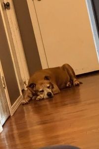 Ellie Mae Shaw