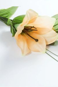 Banu Pithu Adidi
