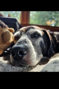 Jack Daniel Sundstrom