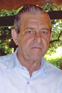Domenico  Gelosi