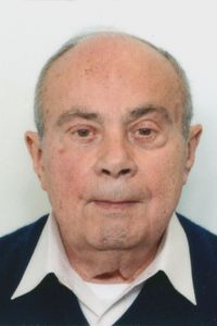 Antonio Giovanni  Bertagnin