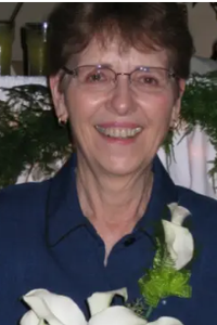 Carol M Moon