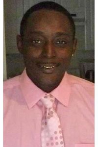 Vegas Darcellus Poinsette