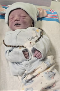 Roman Carter Hemphill