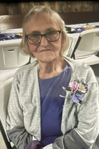 Mary Ann Millerd Pickett