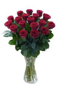 Shirley Anita Powell Obituary, Dalton, GA
