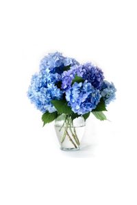 Jr. Silas Maurice "Flat" Mason Obituary, Dalton, GA