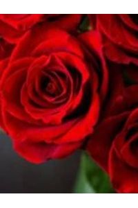 Rose O. Love