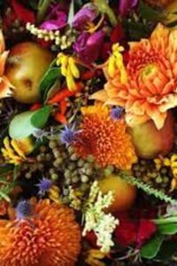 Joann  Inges