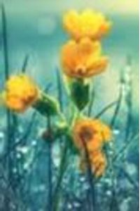 Beverly Jean Pasternacki