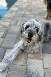 Dusty  Lyerly-Almand