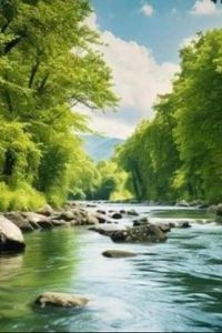 Mr. Avery Goldberg Mcghee Obituary, Unadilla, GA