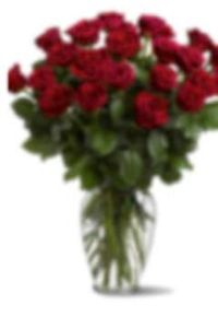 Shirley Wilson Adams