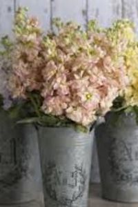 Sandra Lee (Eisel) Cadwallader