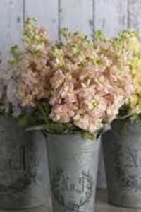 Barbara Lynn (Heyl) Ladley