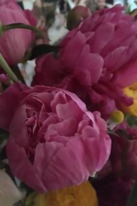 Donna M. (Fisher) Jones