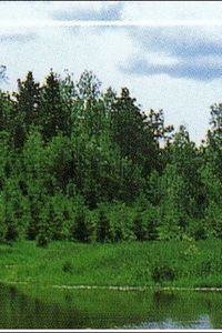 Thomas Bruce Neibauer Pittsburgh, PA Obituary