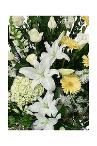 Charles T. Valmassoni  