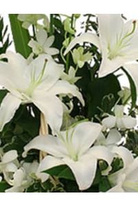 Gregory D. Sensabaugh  