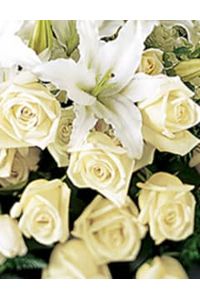 Kevin Jeffery Coleman  