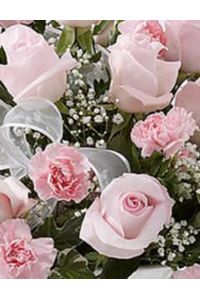 Rose A. Shockey  