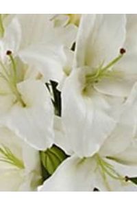 Mildred C. Wenzel  