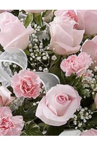 Dolores R. Scapes  
