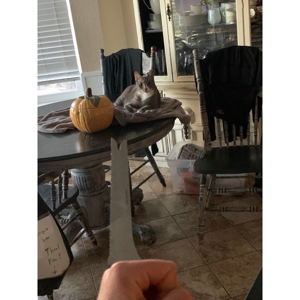 ...