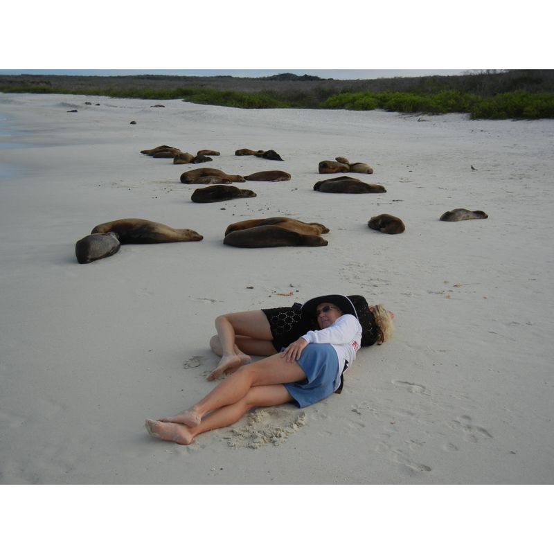 ...