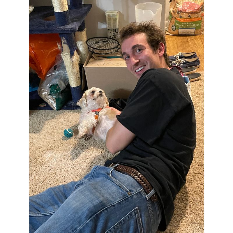 ...