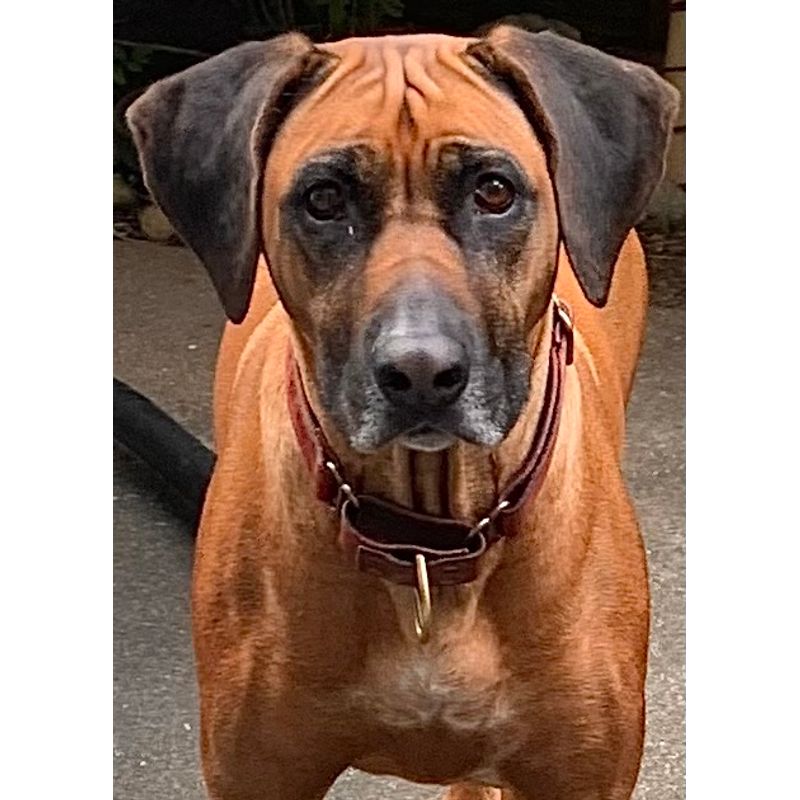 ...