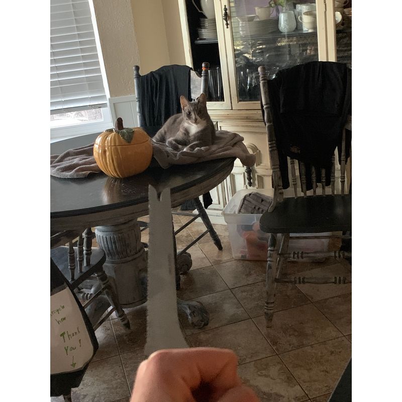 ...