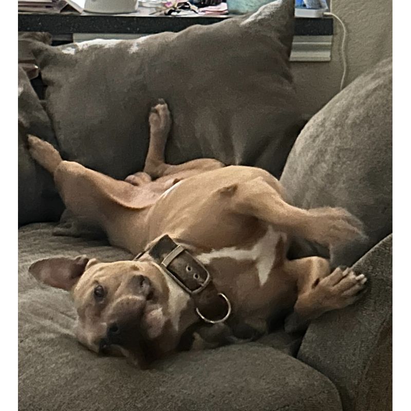 ...