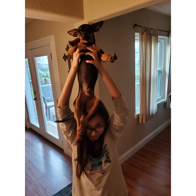 ...