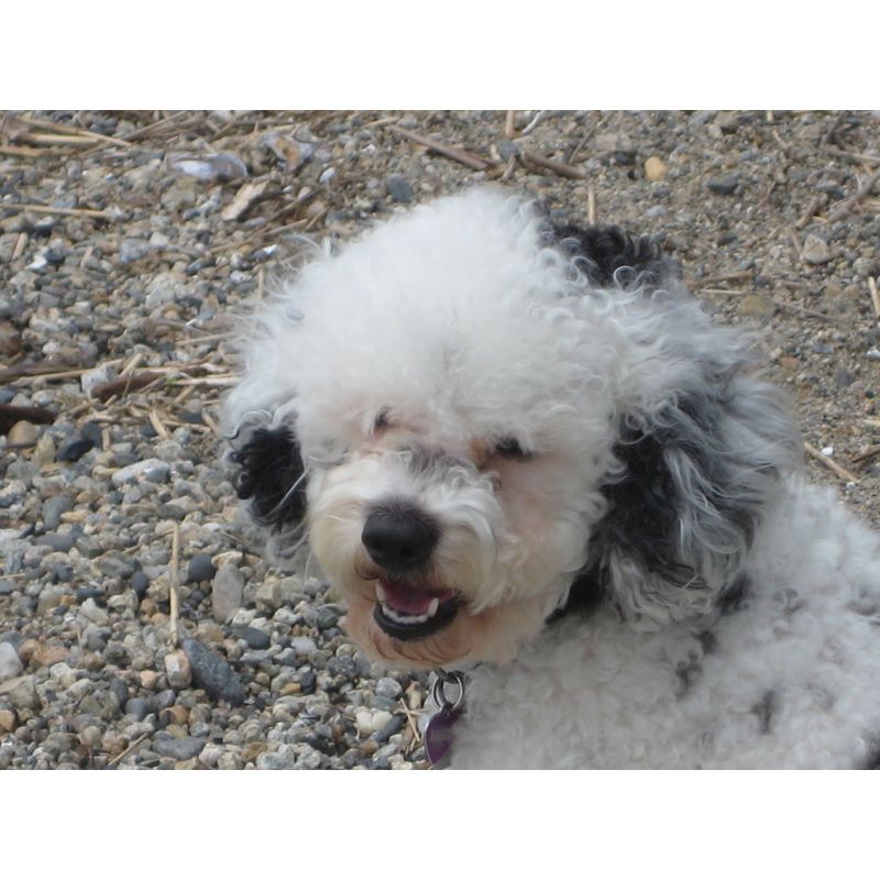 ...
