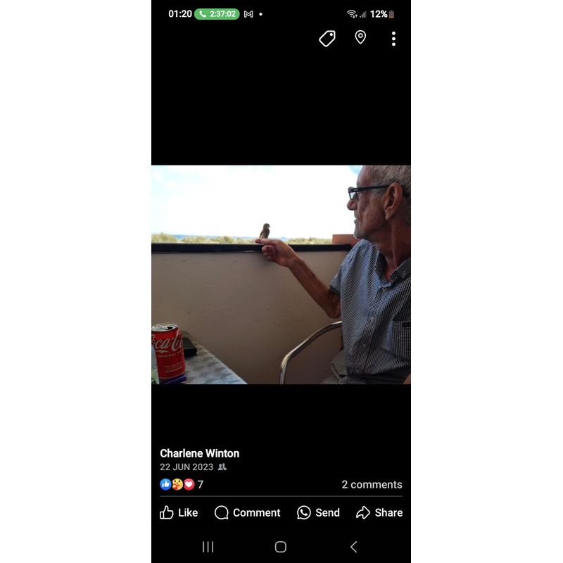 ...