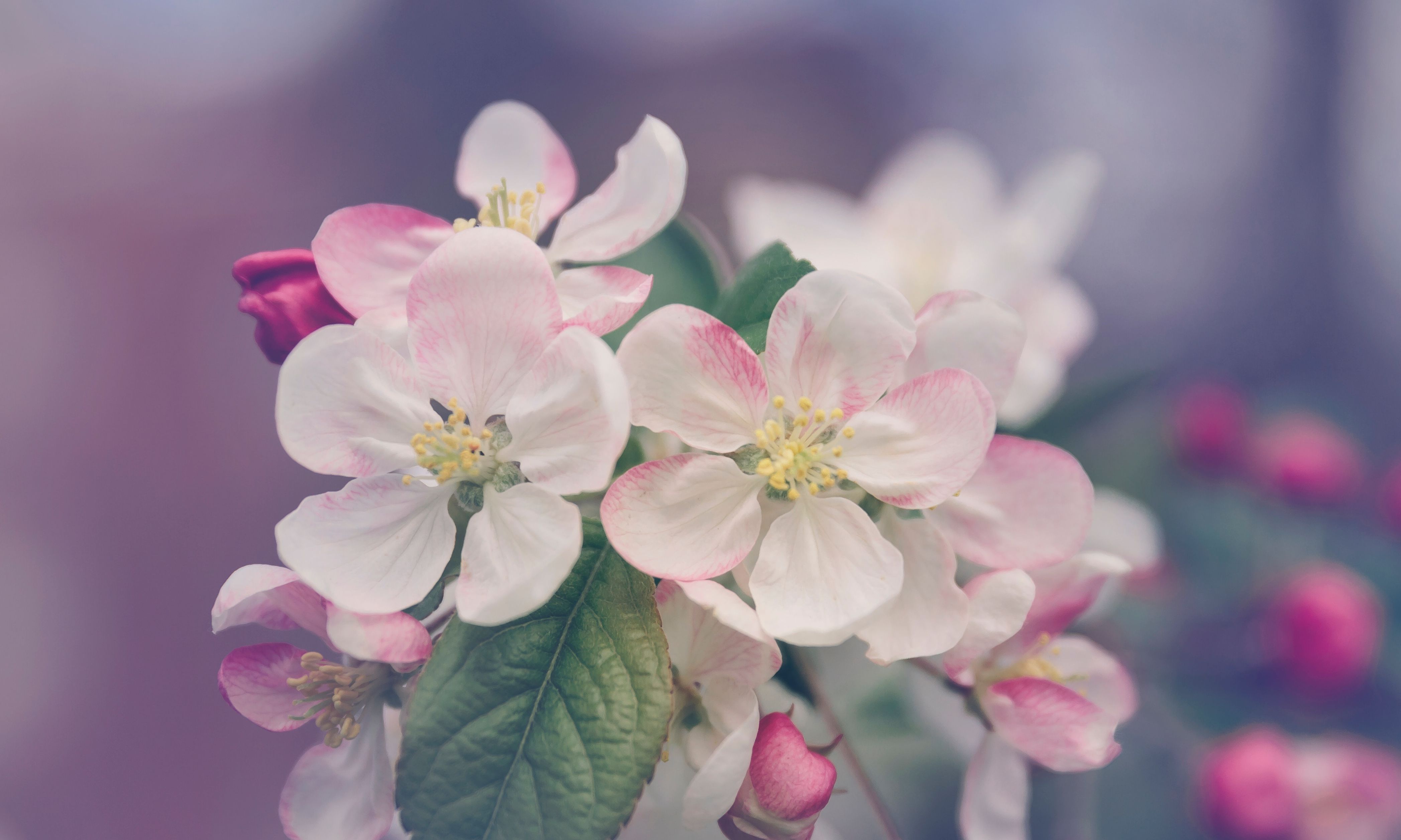 Bennie Smith Funeral Home Salisbury Obituariescontribution - j65fq9j